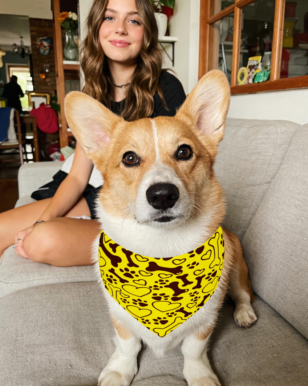 PET SHOW bandana pour chien, usage quotidien et occasions spéciales.