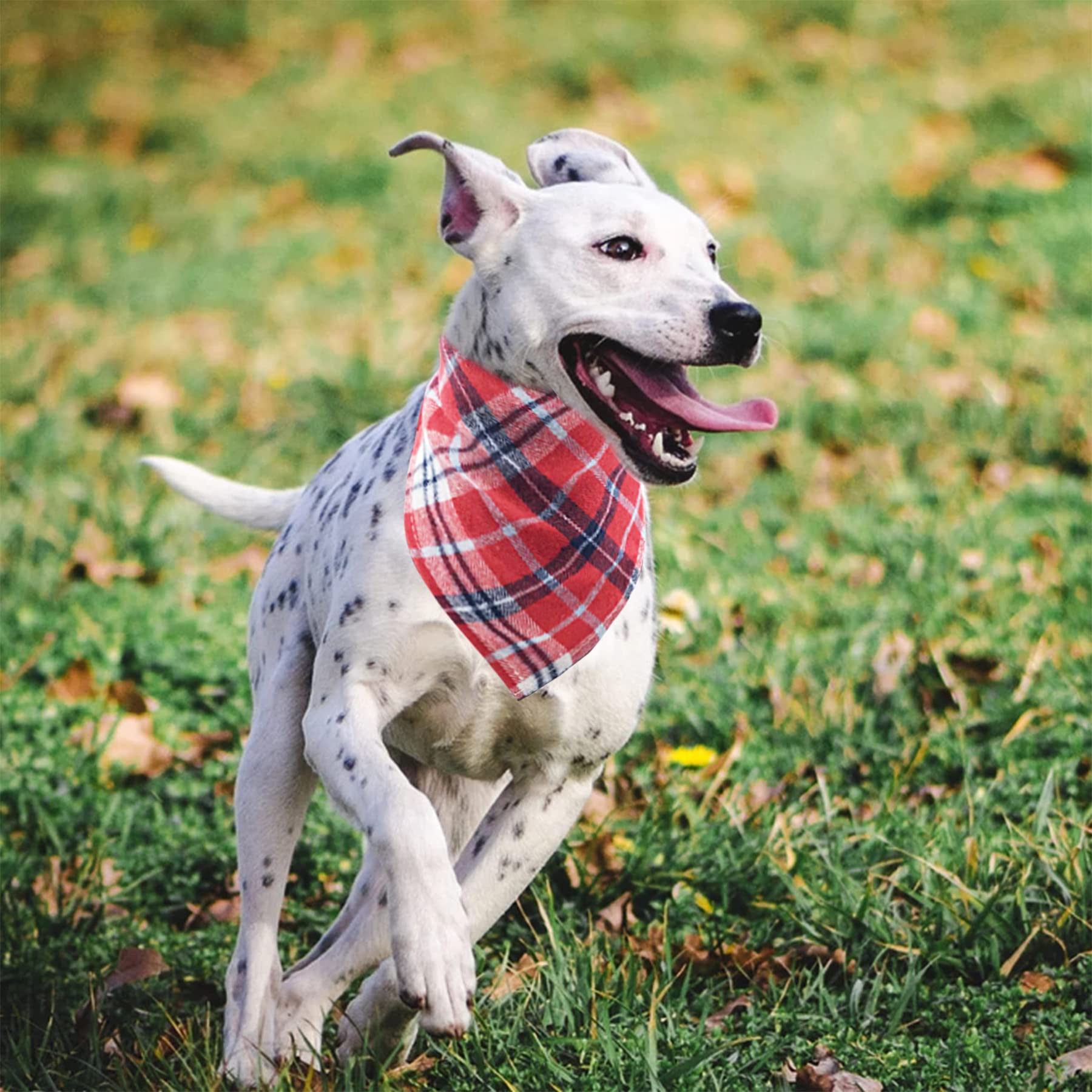 Bandana PET SHOW imprimé pois, style discret et facile à assortir.