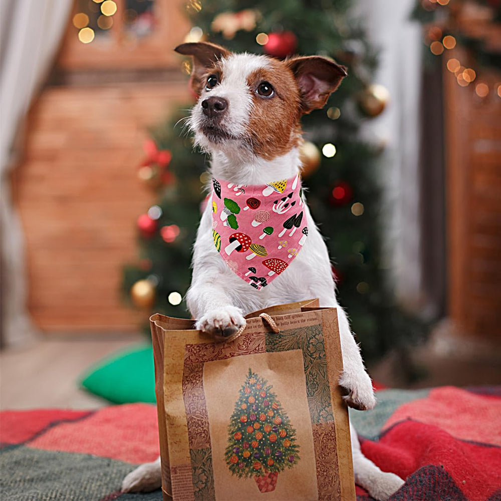 Bandana PET SHOW petit chien modele vide, option neutre et polyvalente.