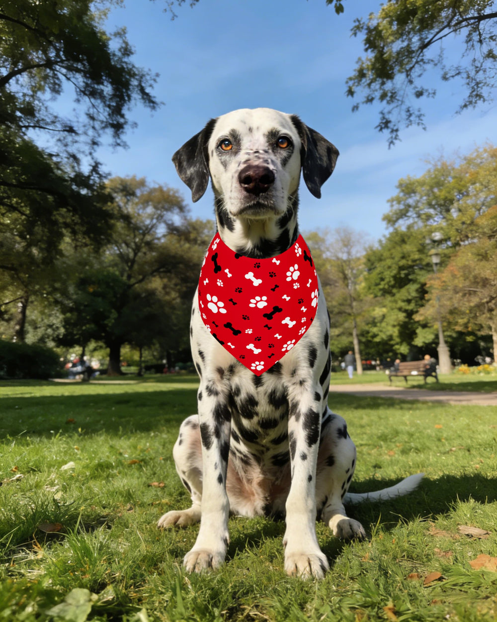 Bandanas PET SHOW design sans couture motifs patte et dessins.
