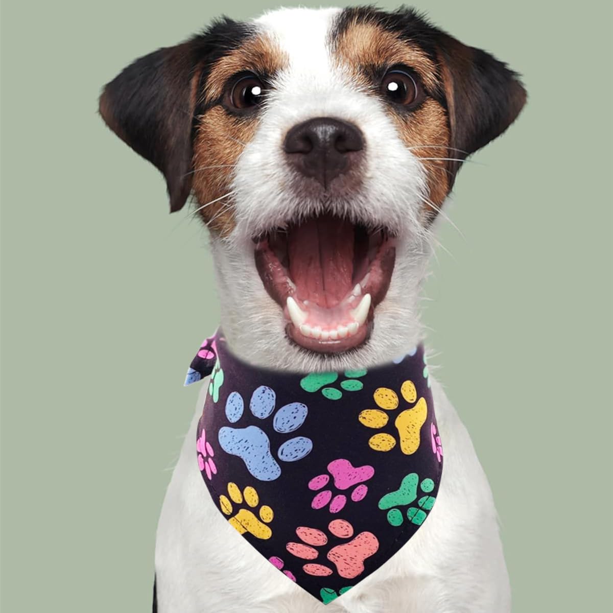 PET SHOW bandana patte – lavables et durables pour usage régulier.