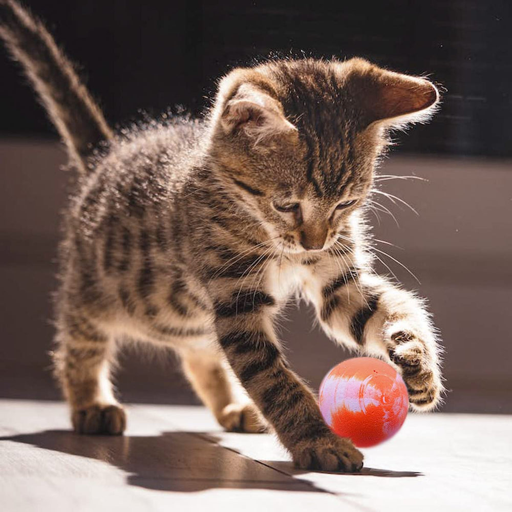 Boules PET SHOW motifs: stimulation visuelle variée pour chats.