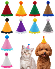 Chapeau PET SHOW en feutre bleu avec pompon pour petits chiens, parfait pour photos festives.