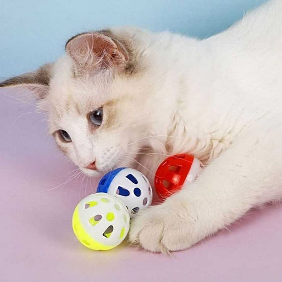 PET SHOW balle chat colorée, jeu interactif et détente après l'exercice.
