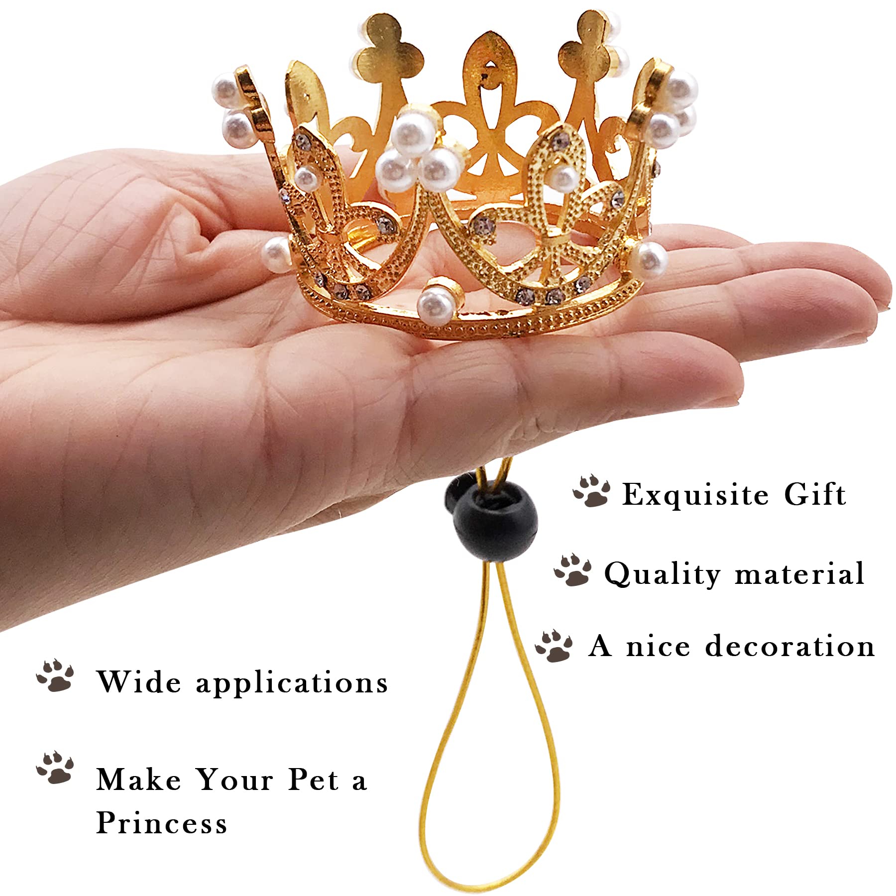PET SHOW couronne chien moyen argent, pour portraits nets et lumineux.