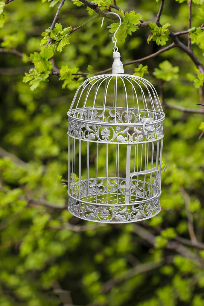 PET SHOW cages décoratives, parfaites comme porte-cartes ou arrangements floraux pour mariage.