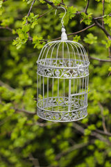 PET SHOW cages décoratives, parfaites comme porte-cartes ou arrangements floraux pour mariage.