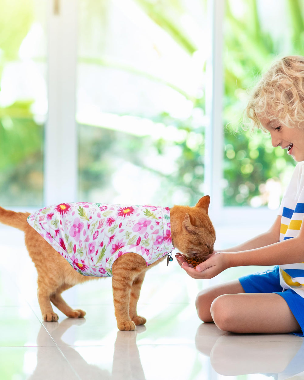 PET SHOW emballage 4 pièces, prêt à offrir ou partager.
