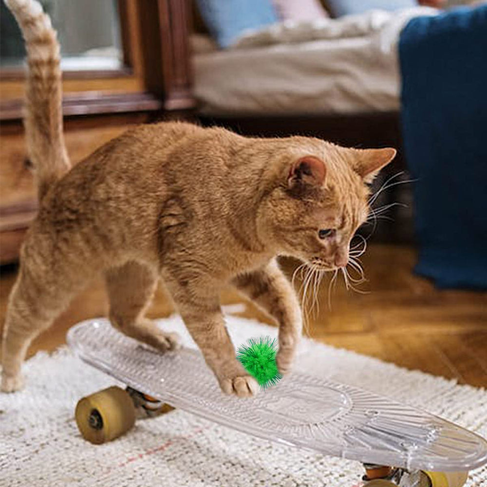 PET SHOW jeu de balles scintillantes pour chats, sécurité et plaisir.