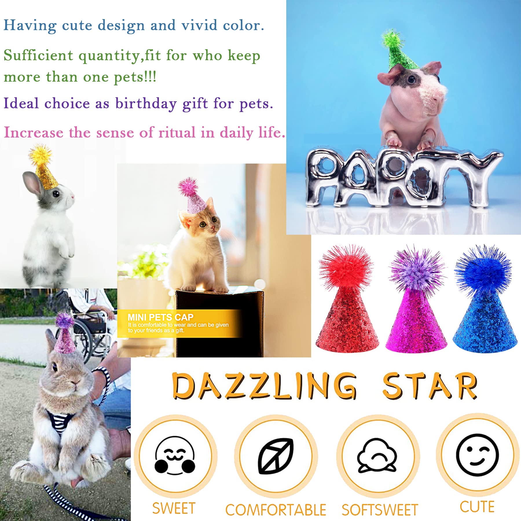 PET SHOW chapeau chien bleu royal, style élégant lors d'événements
