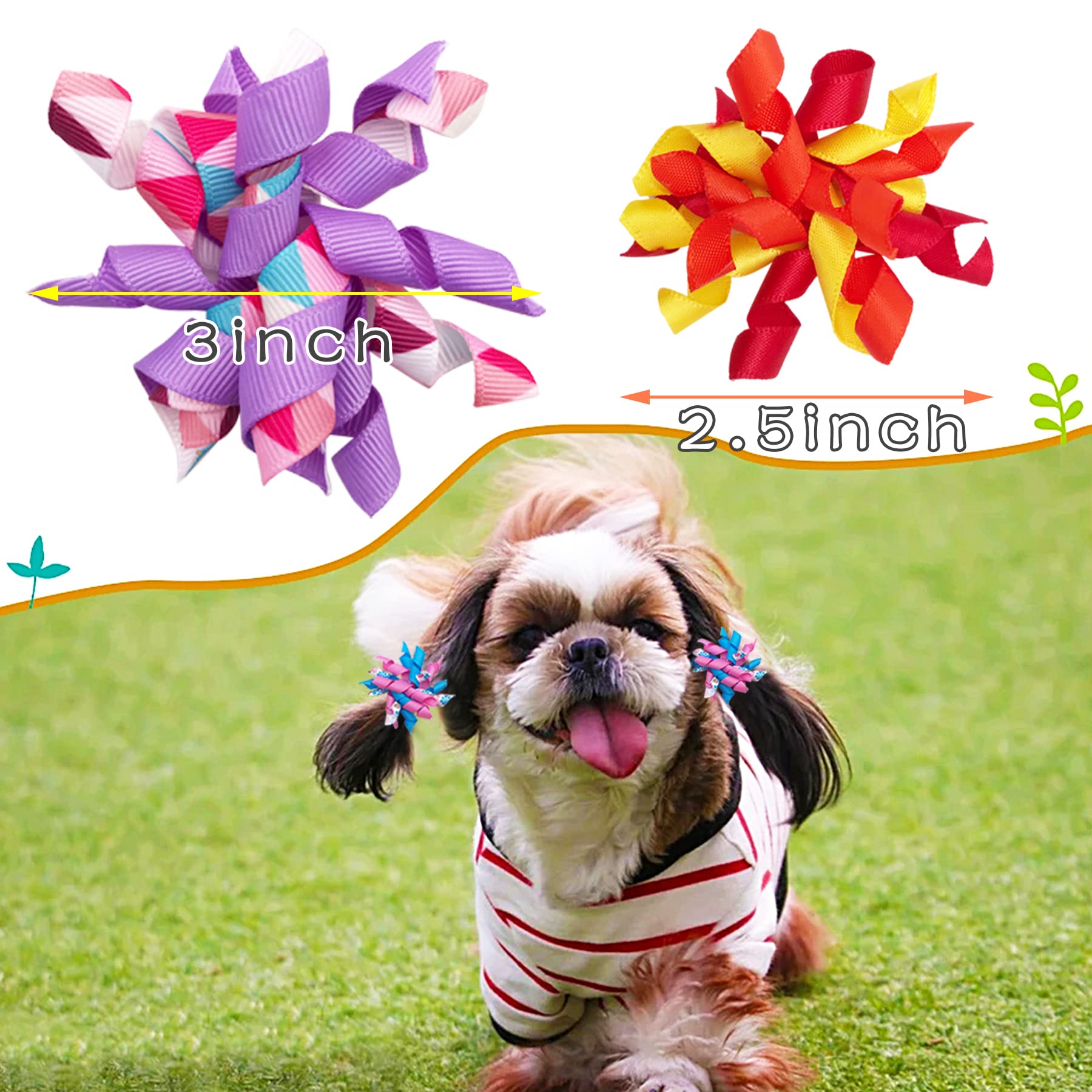 PET SHOW noeud-cheveux pour chien maltais violet, ideal pour un look chic.
