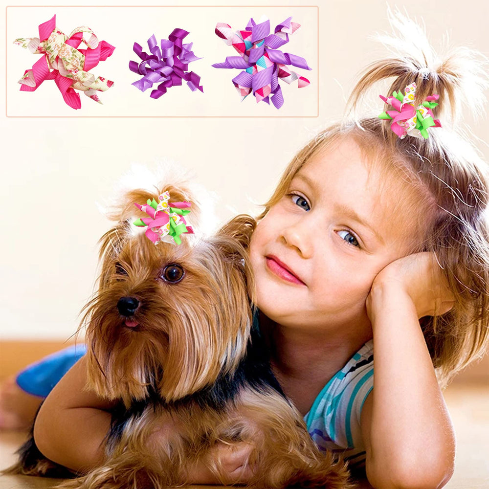 PET SHOW noeud-cheveux pour chien petit multicolore, pratique et ludique.