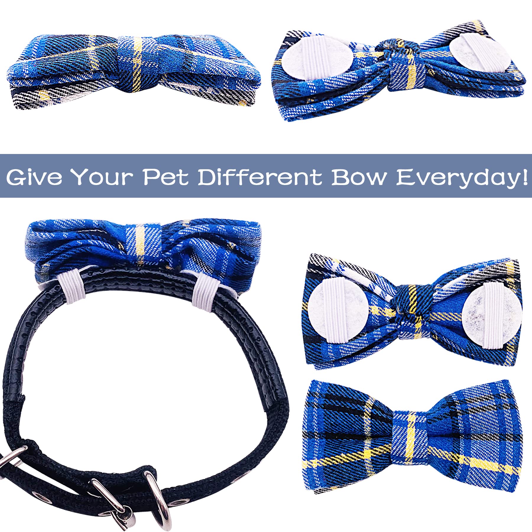 PET SHOW accessoire coloré pour promenades et fetes