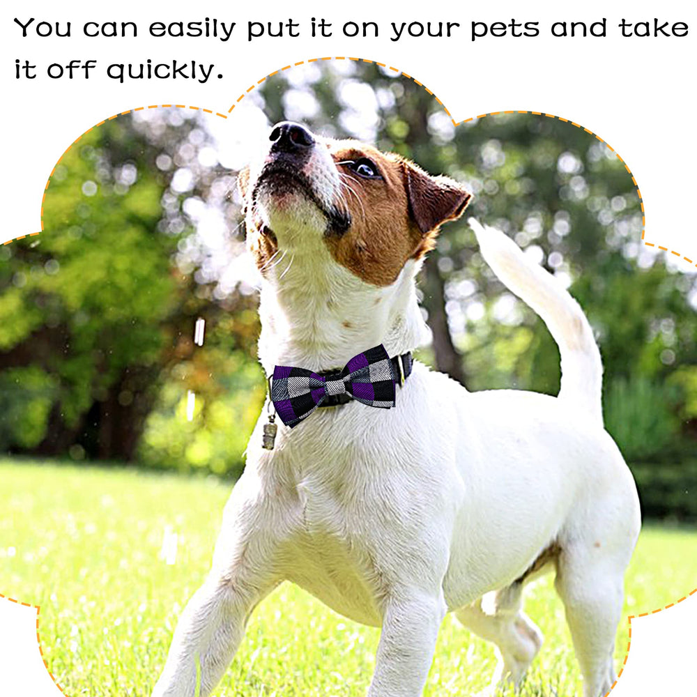PET SHOW noeud-papillon champagne-plaid sur collier, nuance subtile.