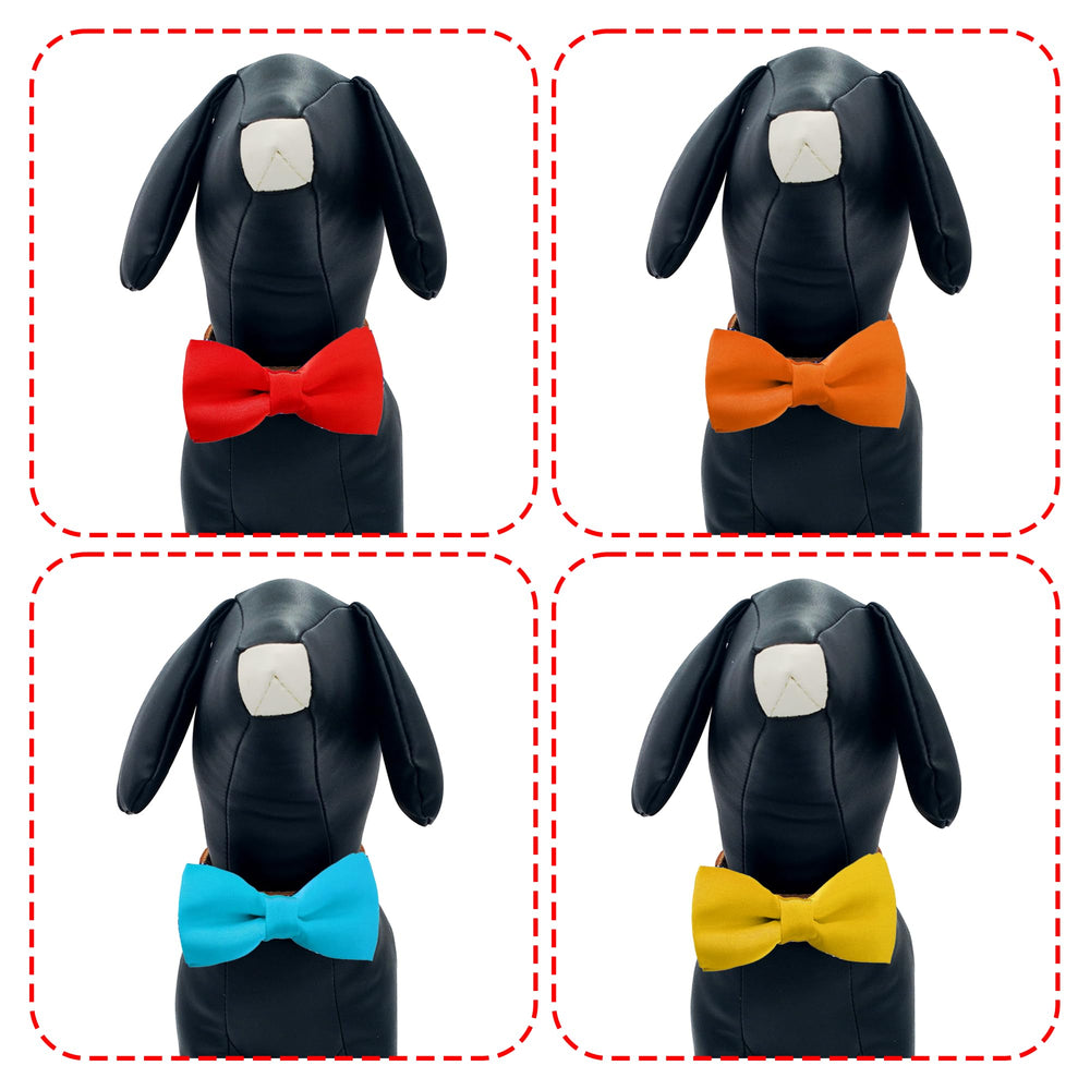 Nœud doré PET SHOW sur collier doré, idéal pour occasions spéciales.