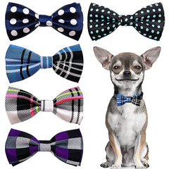 PET SHOW noeud-papillon rouge-pois sur collier, style ludique pour petites races.