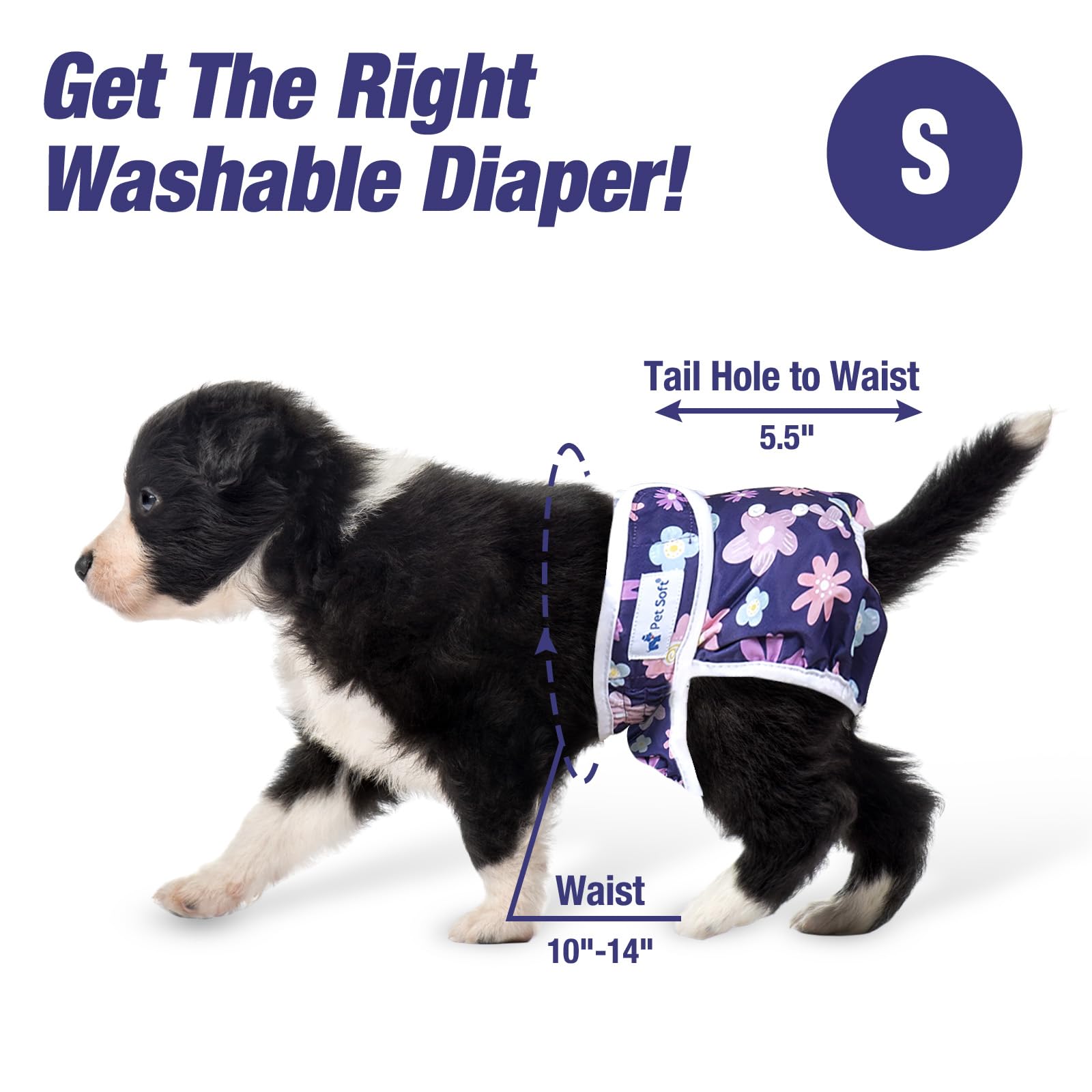 Pet Soft attache adhésive efficace pour un maintien sûr