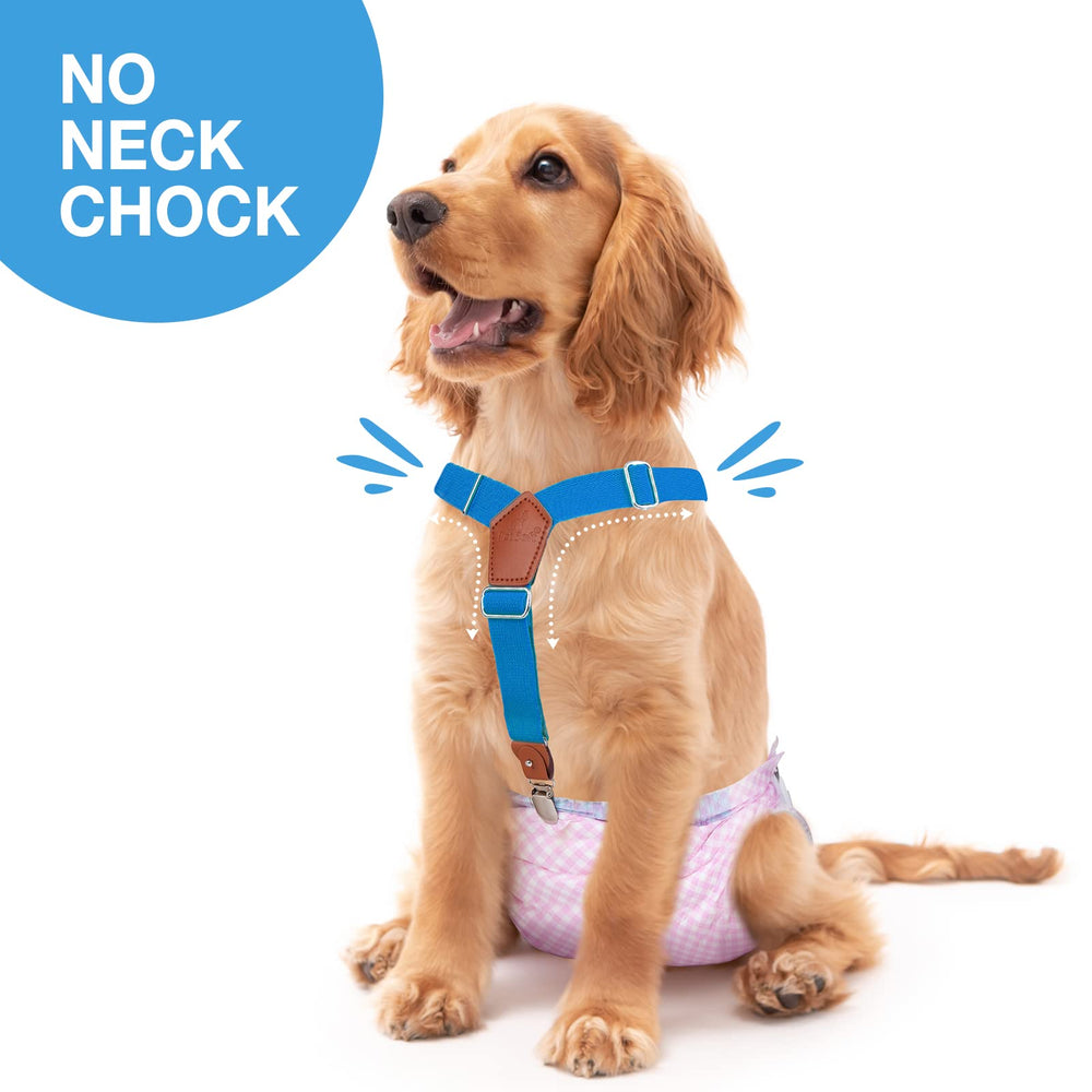 Pet Soft bretelles chien avec clip métallique remplaçable pour durabilité