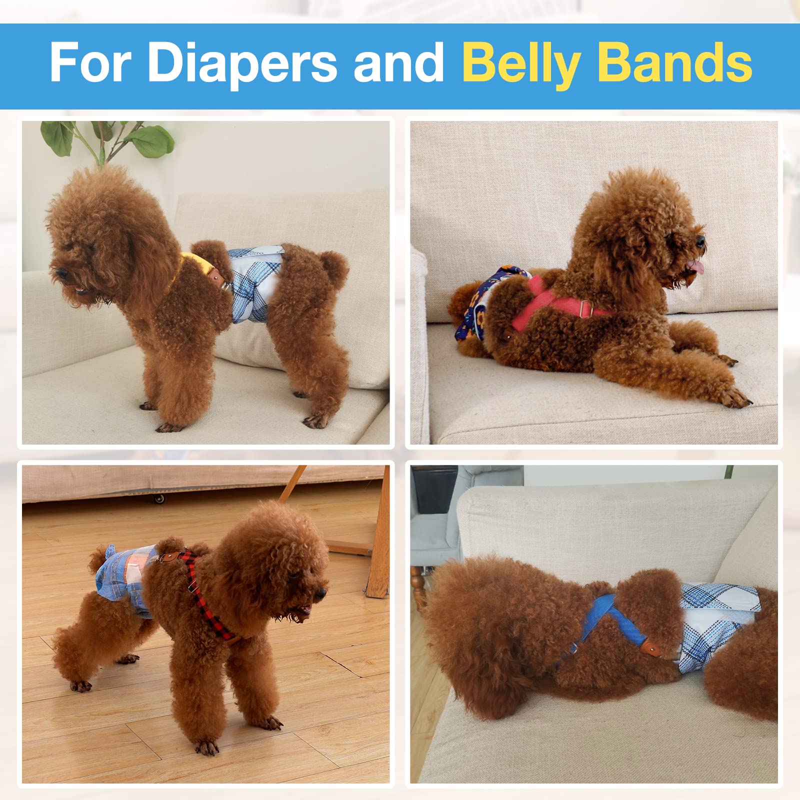 Pet Soft bretelles chien, maintien fiable des couches, sans promesse garantie