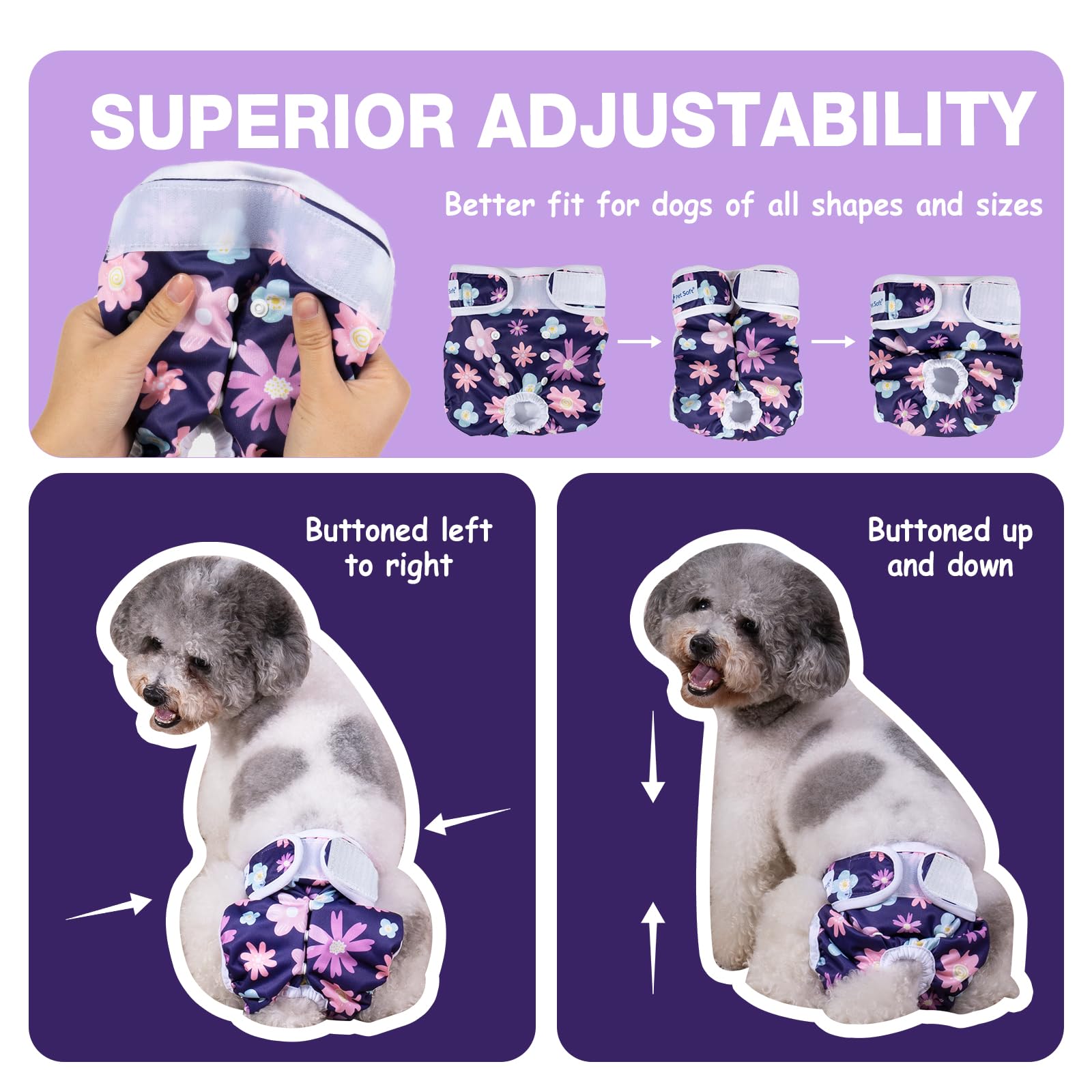 Pet Soft chienne portant couche femelle en situation domestique