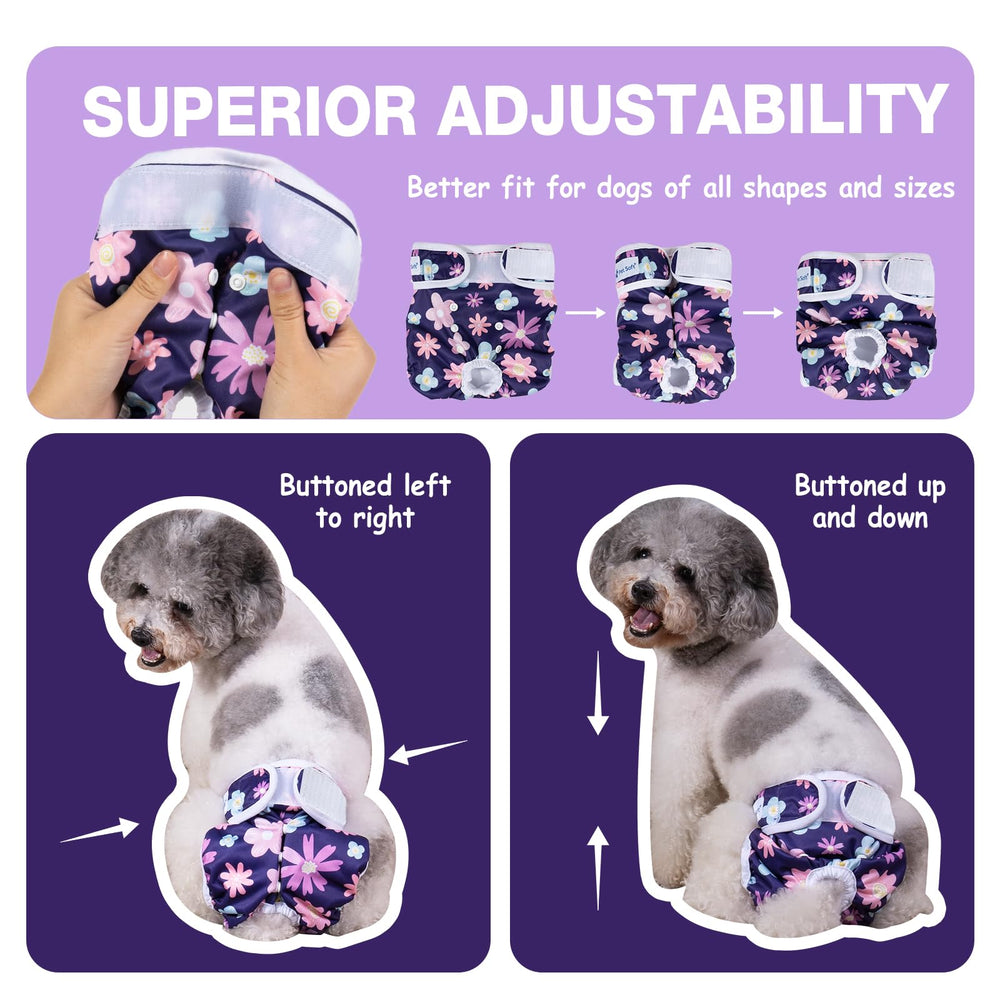 Pet Soft chienne portant couche femelle en situation domestique