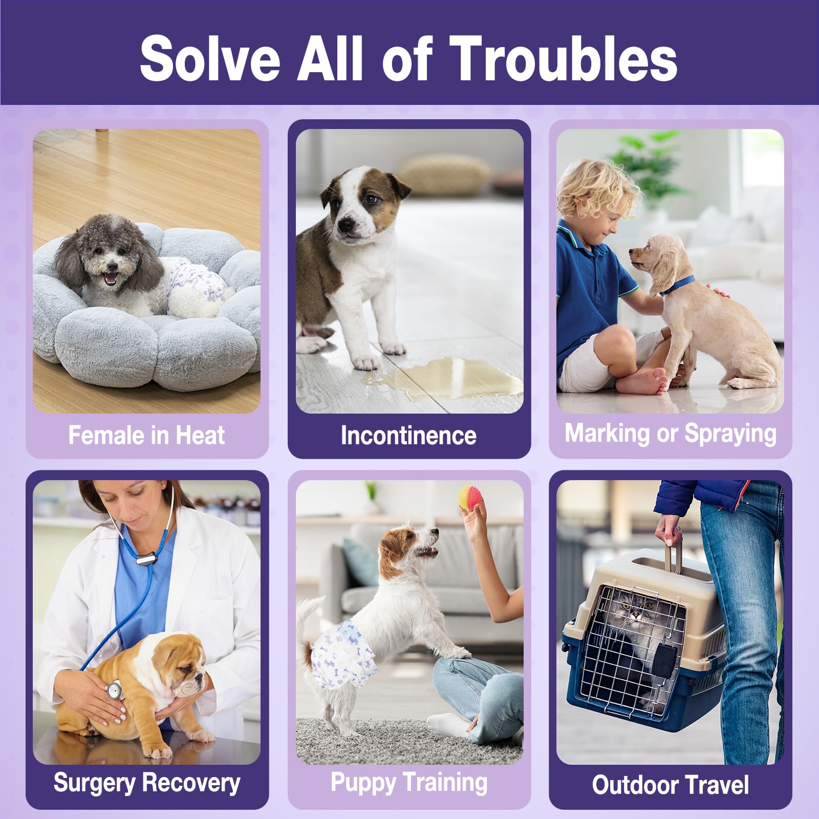 Cœur ultra-absorbant Pet Soft, protection efficace contre les fuites.