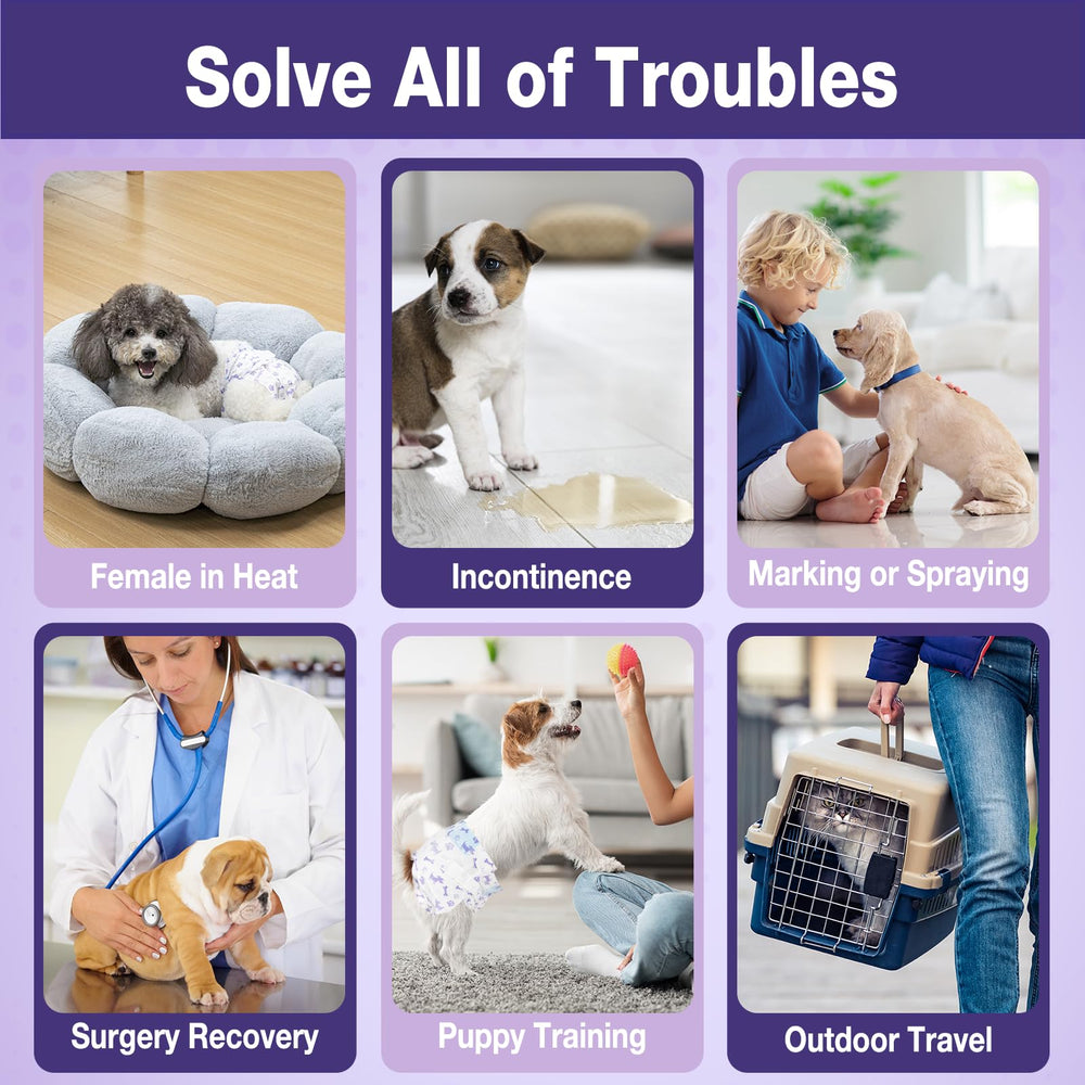 Cœur ultra-absorbant Pet Soft, protection efficace contre les fuites.