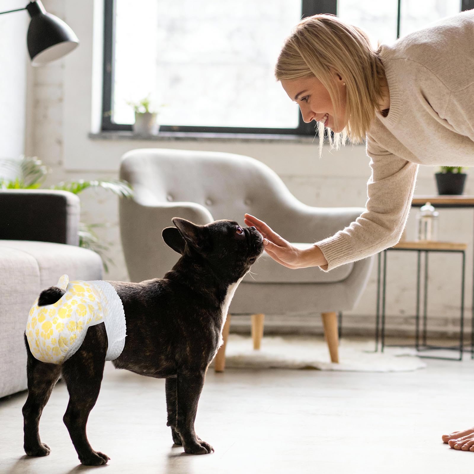 Couches Pet Soft pour chienne femelle protection fiable des fuites et tranquillité d’esprit.