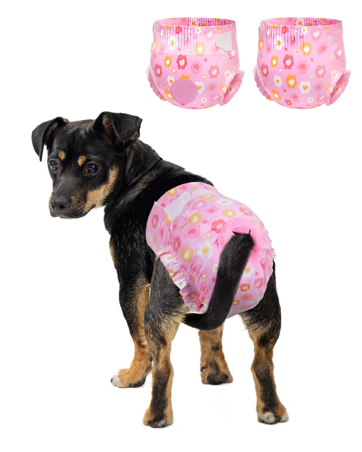 Couches Pet Soft pour chien femelle en rose, lot de 12, confort quotidien.