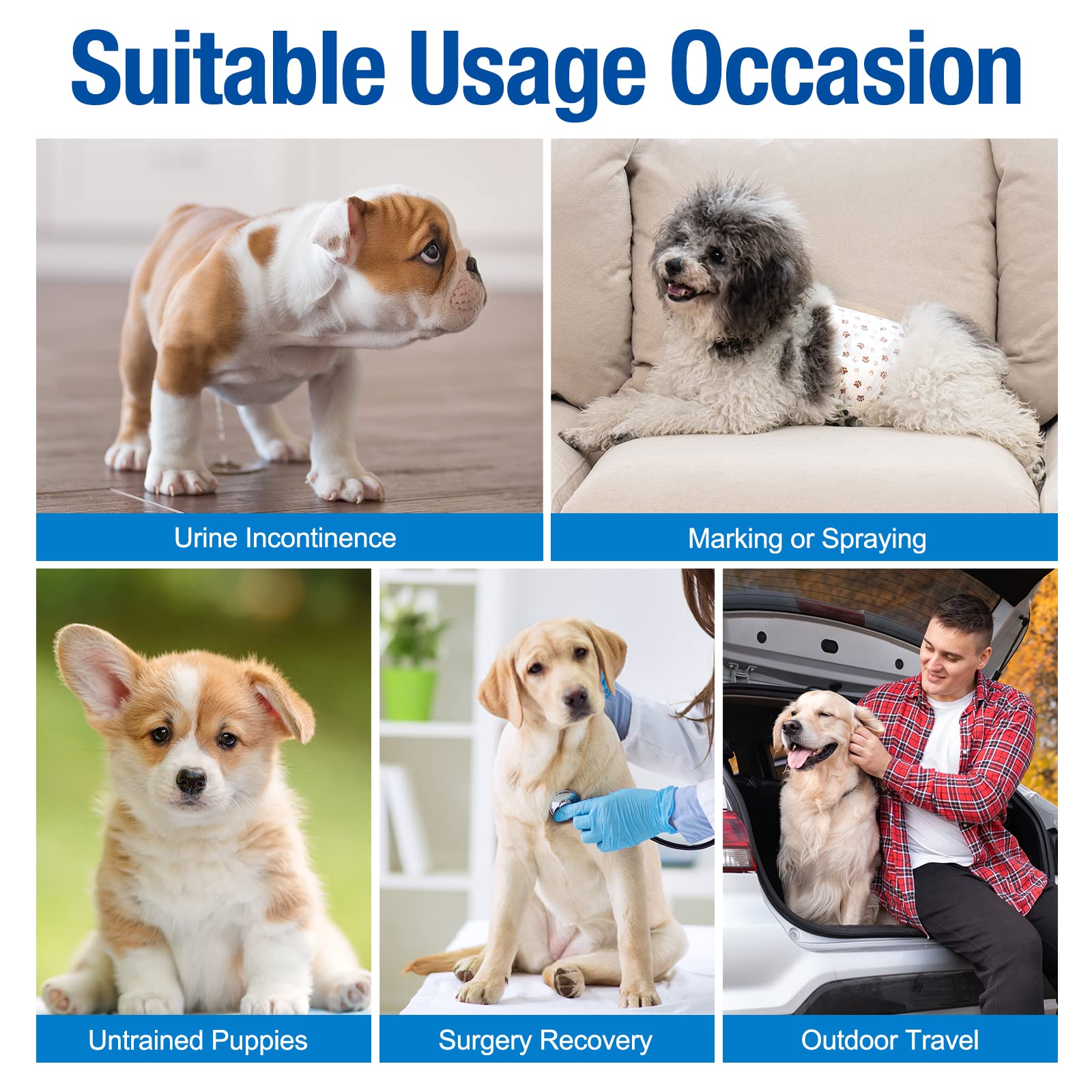 Couches Pet Soft idéales pour usage quotidien et voyages.