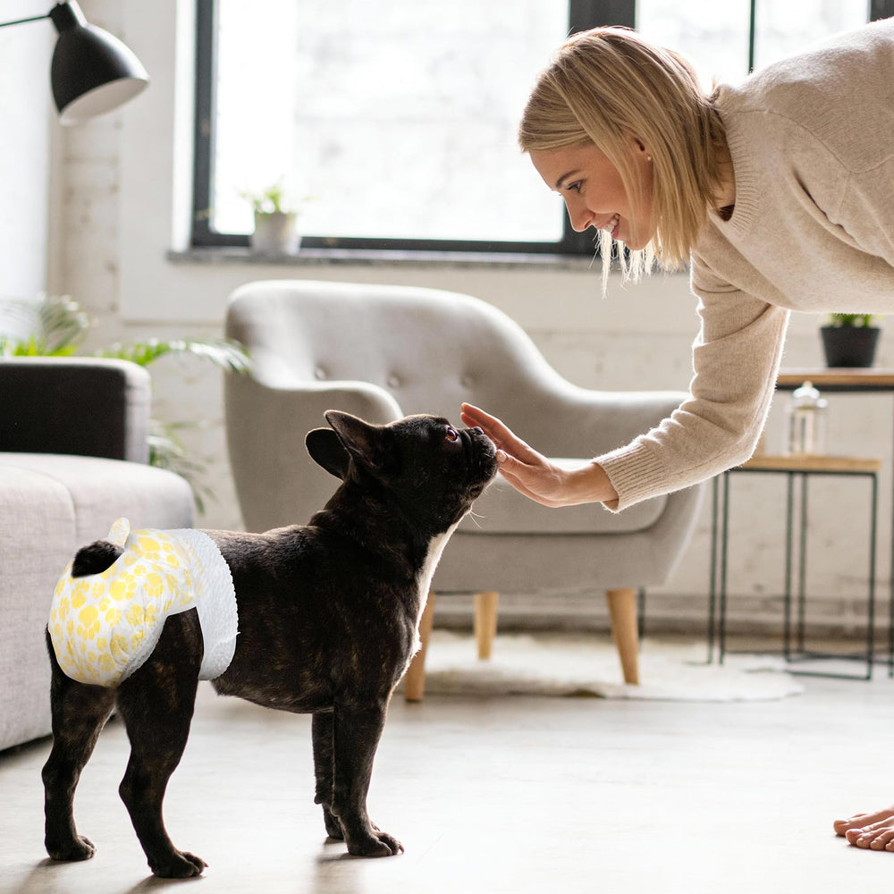 Pet Soft couches-diap entretien-jetable: changement facile et rapide.