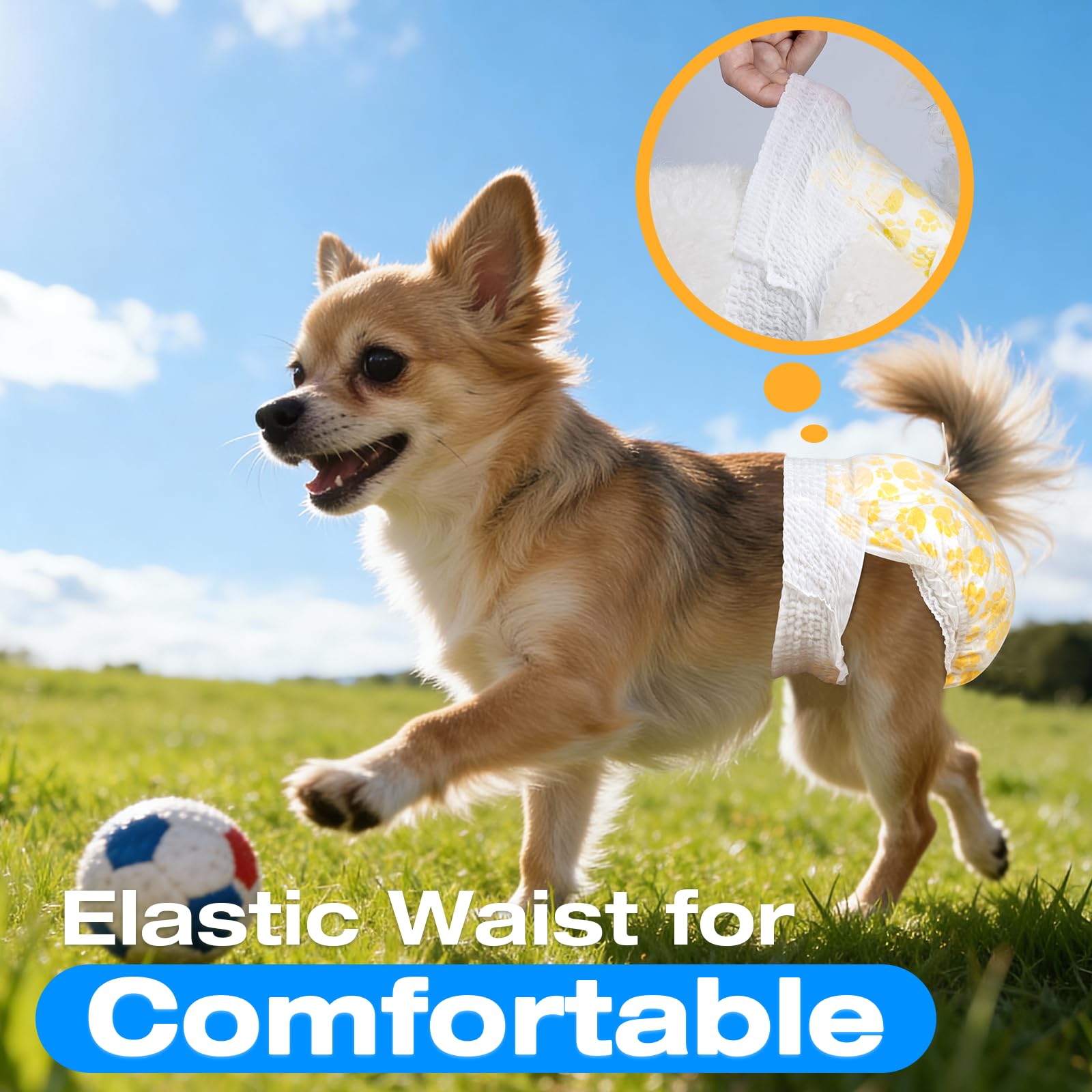 Pet Soft couches-diap utilisation-quotidienne pour la routine canine.