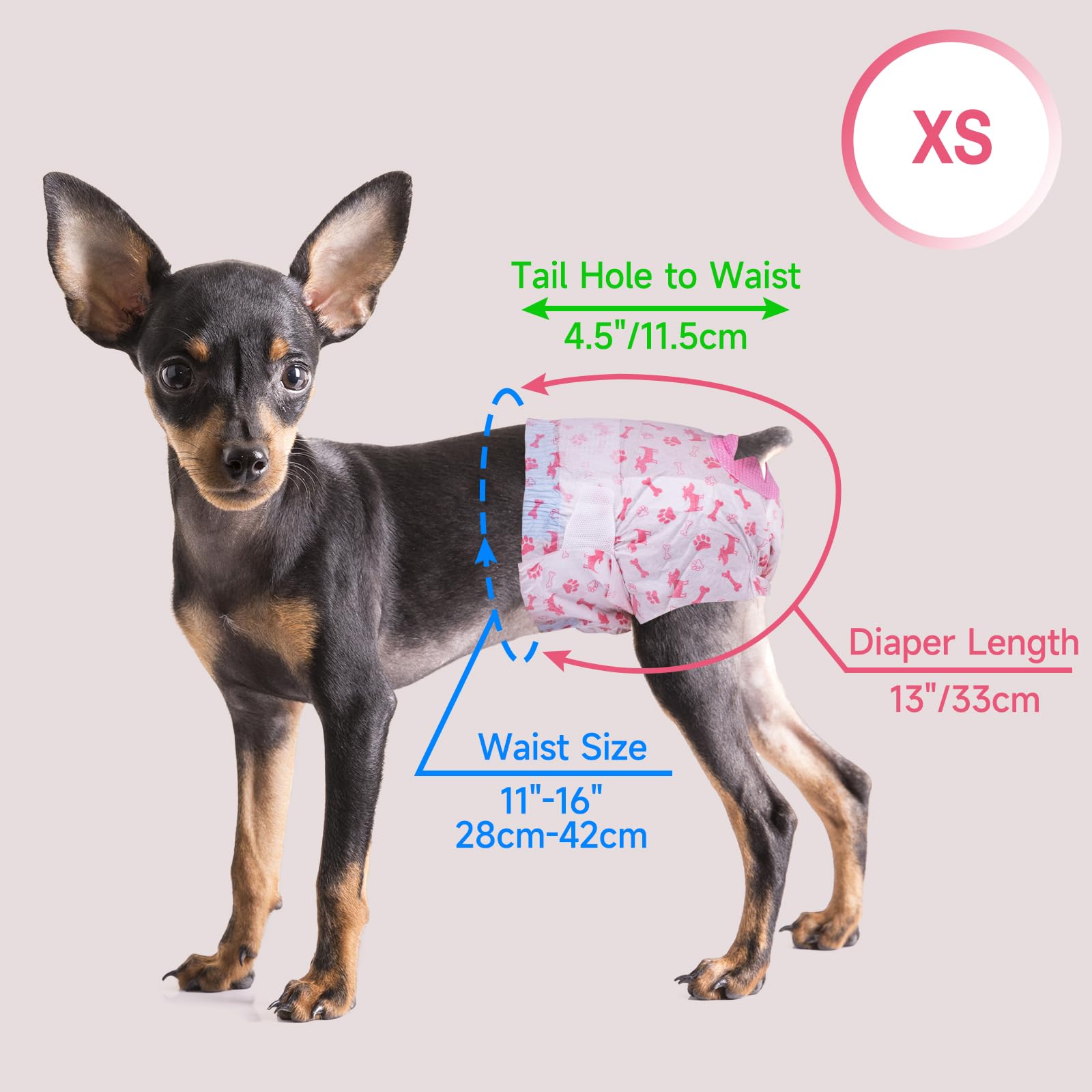 Pet Soft usage quotidien et en voyage pour chiens femelles