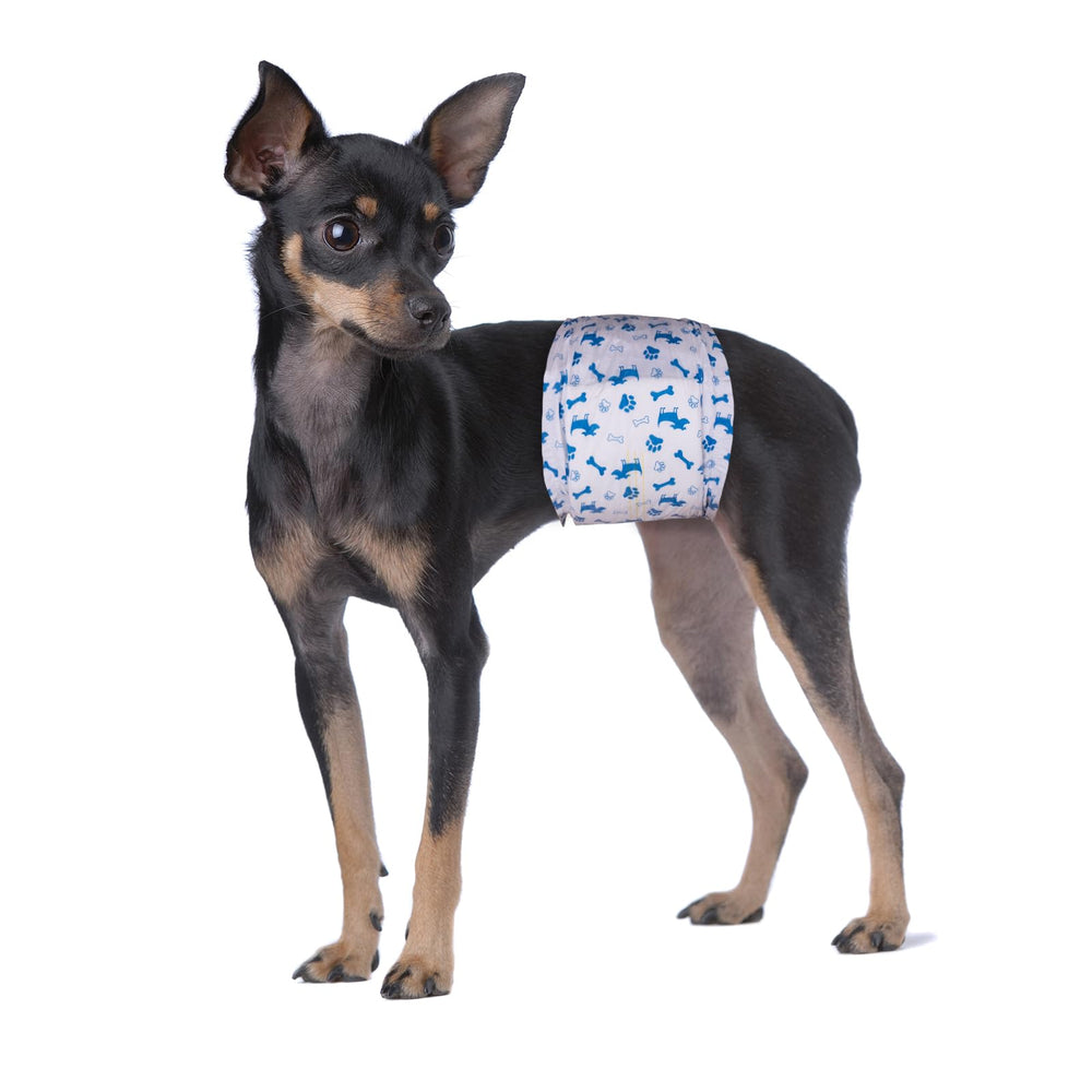 Paquet pratique Pet Soft, facile à transporter lors de déplacements