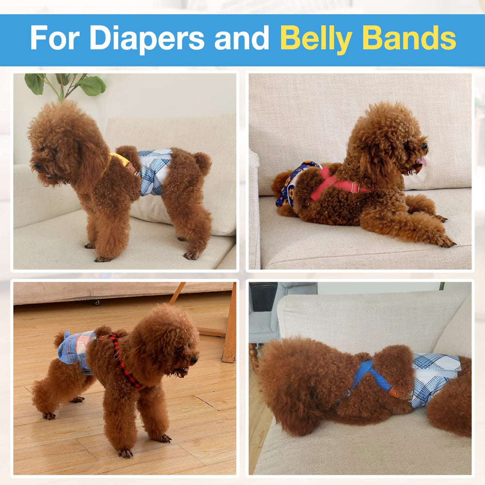 Utilisation quotidienne Pet Soft en robe pour chien