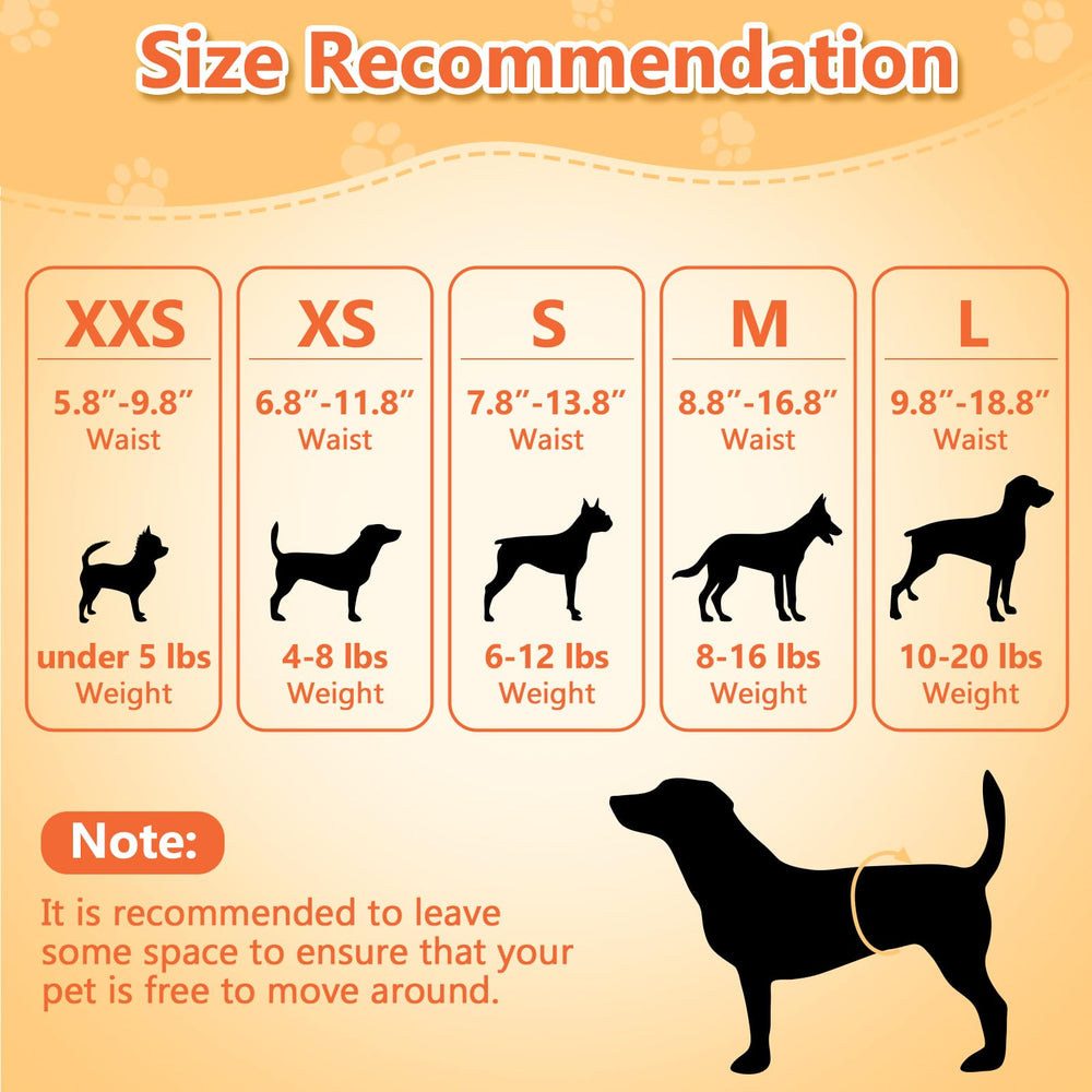 Pet Soft Guide Mesure – ajustement rapide et sûr.