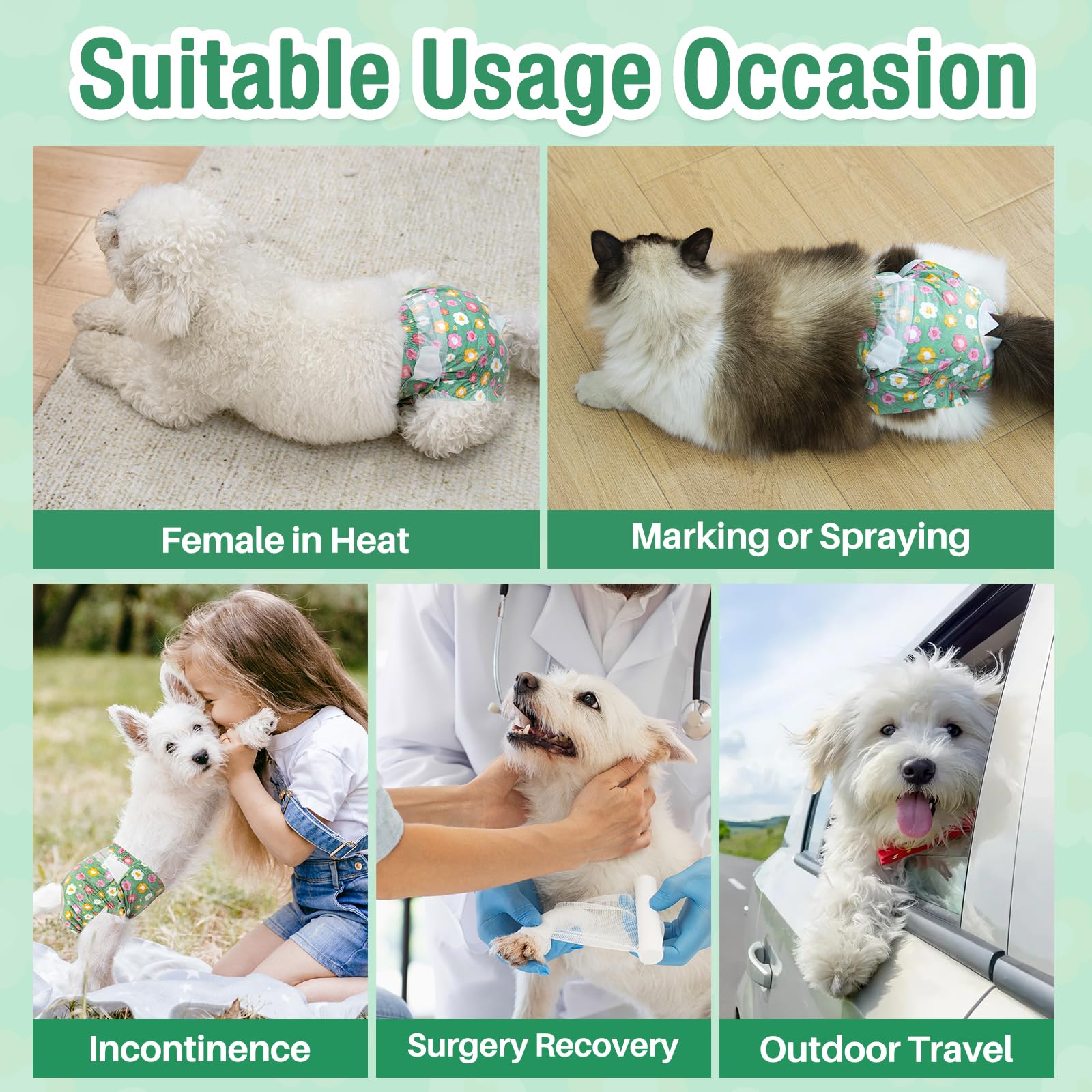 Pet Soft guide taille assuré pour un bon ajustement.