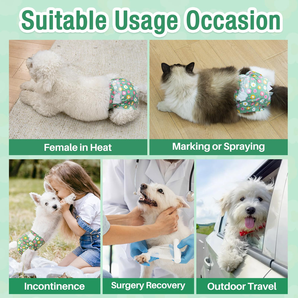 Pet Soft guide taille assuré pour un bon ajustement.