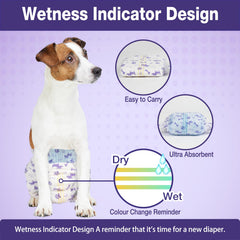 Indicateur d'humidité Pet Soft changeant couleur pour signaler le changement.