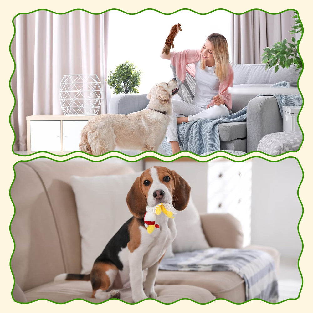 Jouet Pet Soft tout-en-un pour chien, confort et amusement dans un seul pack.