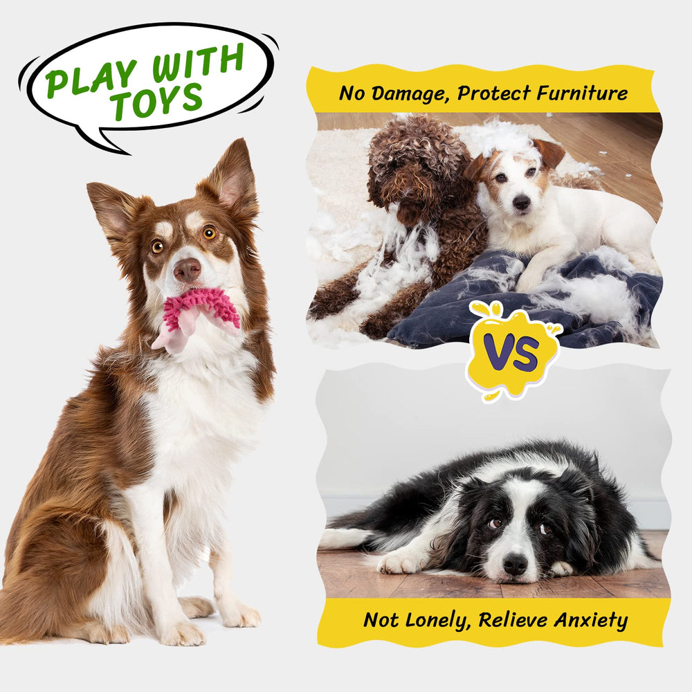 Jouet chien interactif Pet Soft, idéal pour variations de jeux et dégustations d’énergie.