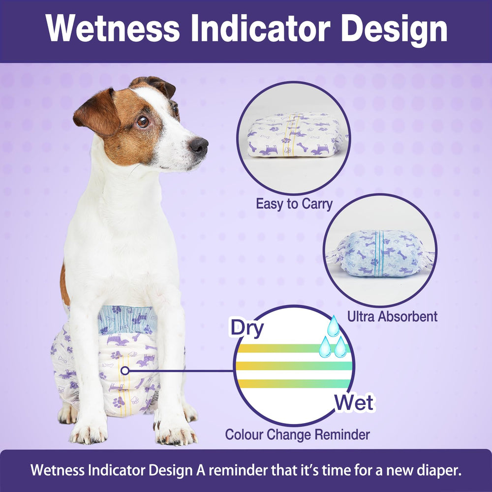 Pet Soft motifs variés pour un look charmant lors des sorties.