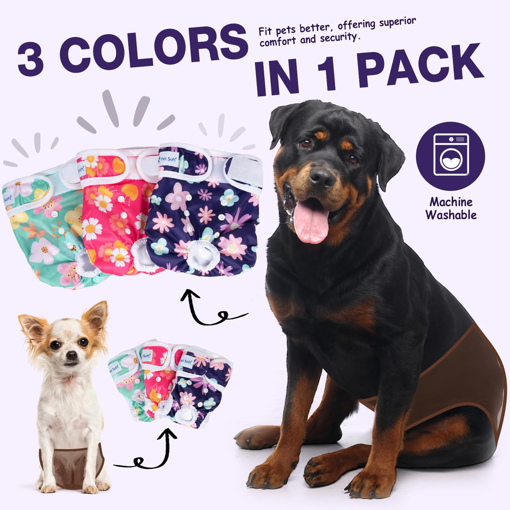 Pet Soft nouvelle ceinture confort assurant le maintien lors du mouvement