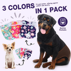 Pet Soft nouvelle ceinture confort assurant le maintien lors du mouvement