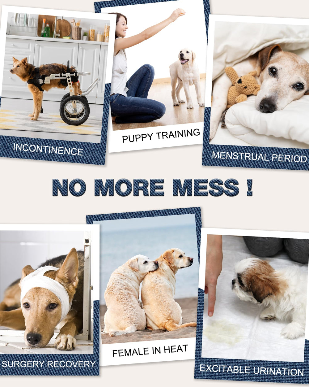 Pet Soft protection anti-fuite 360, intérieur propre et sans tracas.