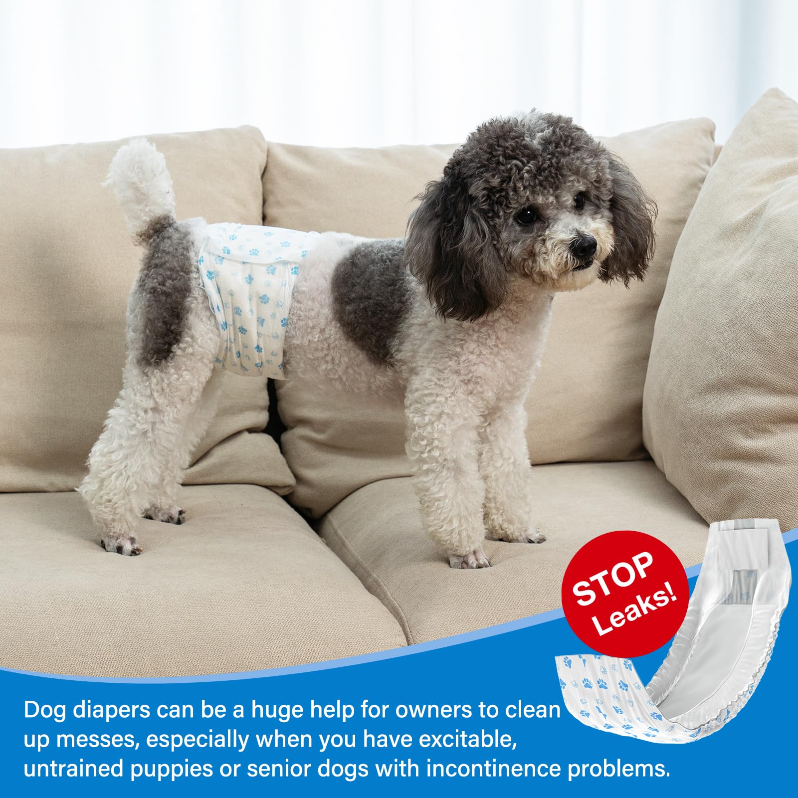 Pet Soft service client réactif et solutions utiles sous 24 heures.