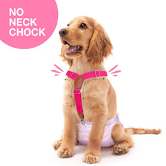 Pet Soft suspendeurs attaches métalliques remplaçables, remplacement rapide des clips.