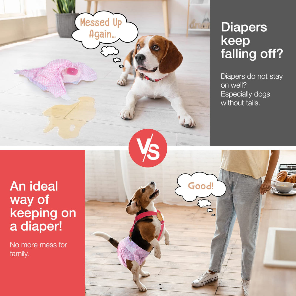 Clip métallique remplaçable Pet Soft, remplacement rapide et simple.