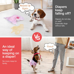 Clip métallique remplaçable Pet Soft, remplacement rapide et simple.