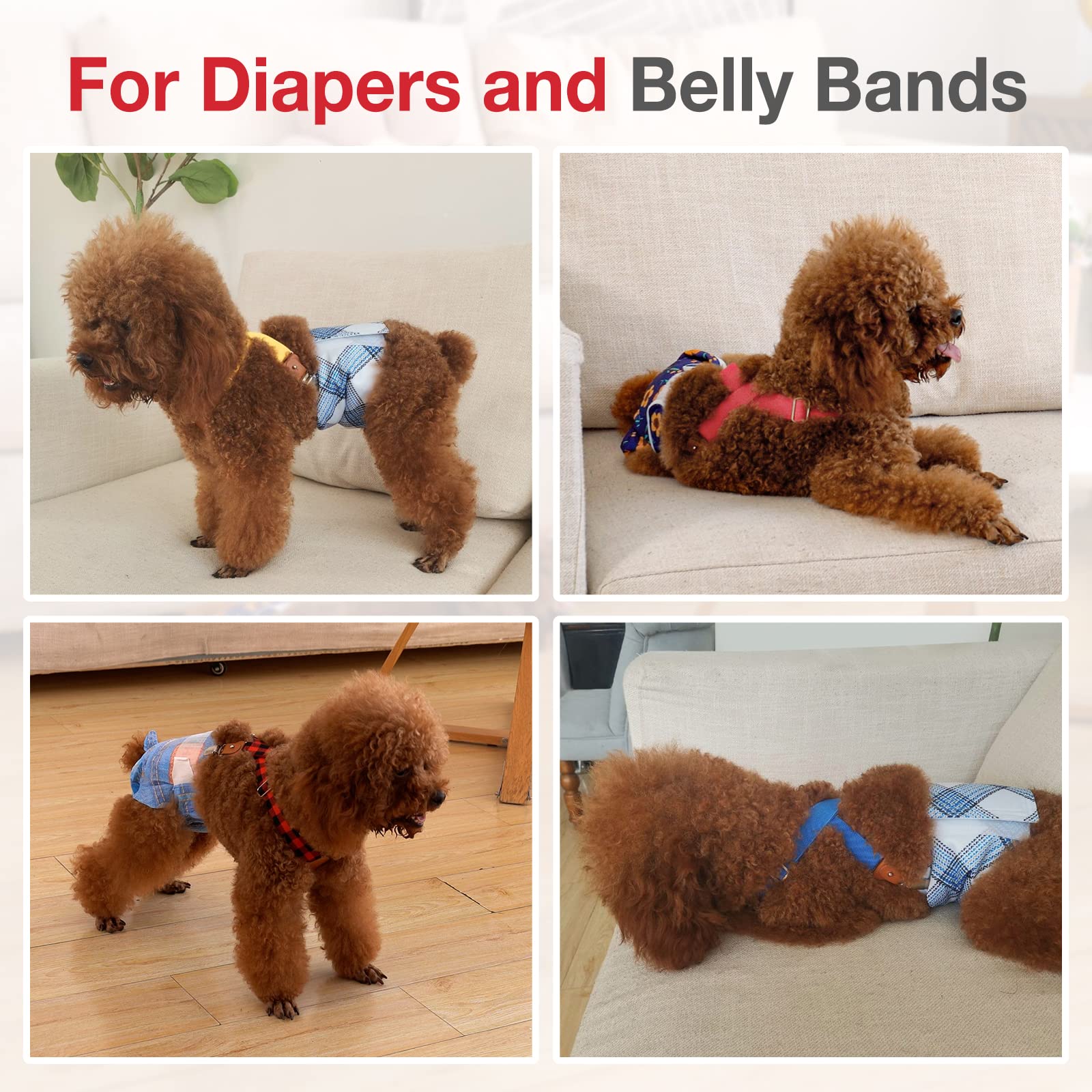 Idéal pour porter sur jupes, robes ou couches pour chien.